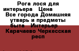 Рога лося для интерьера › Цена ­ 3 300 - Все города Домашняя утварь и предметы быта » Интерьер   . Карачаево-Черкесская респ.